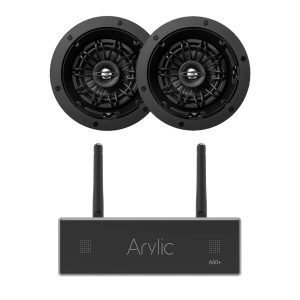 Arylic A50+